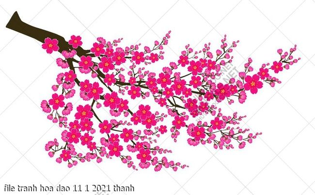 file tranh hoa dao 11 1 2021 thanh